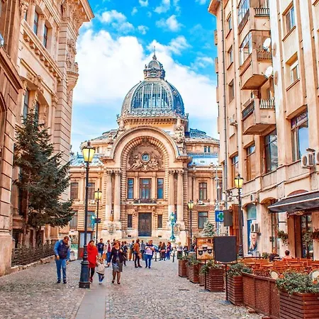 Apartament Lovely Duplex Cismigiu Park - Pop1